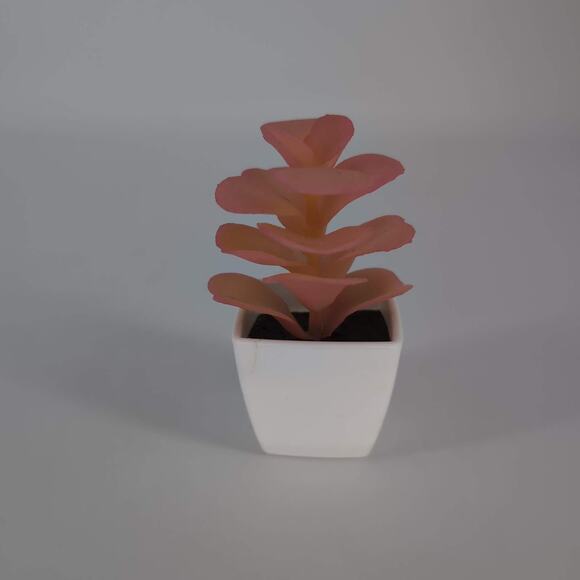 Mini Fake Faux Artificial Pink Succulent Potted Plant in Plastic White Pot - GUC - Picture 3 of 10